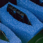 Mousses de filtration bleues pour Biosmart 16000 pour bassin